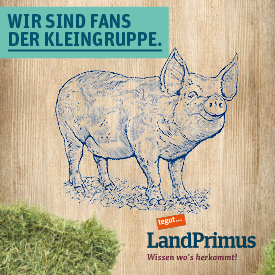 Wir sind Fans der Kleingruppe.