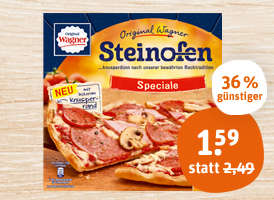 Original Wagner Steinofen-Pizza, Flammkuchen oder Pizzies