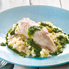 Gedünsteter Schellfisch mit Risotto und Kräuter-Pesto