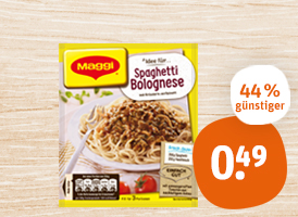 Maggi Fix oder Würzpaste