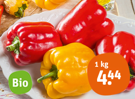 Bio-Paprika rot oder gelb