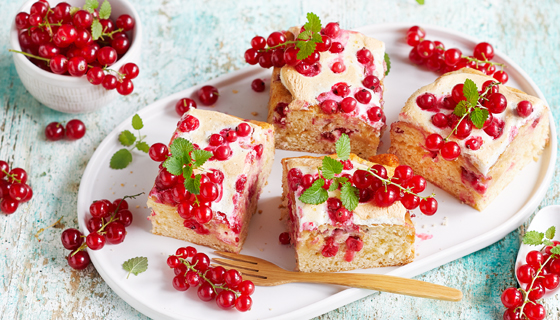 Becherkuchen mit Johannisbeeren