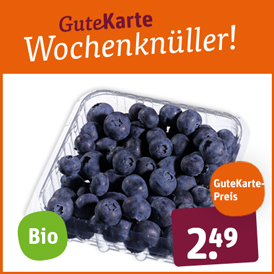 Bio-Heidelbeeren