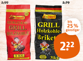 favorit Grillholzkohle oder -briketts