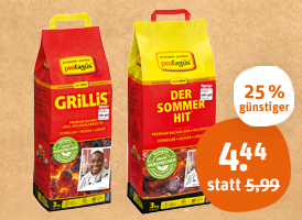 Sommerhit Holzkohle und Briketts 8, 9