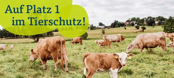 Auf Platz 1 im Tierschutz!